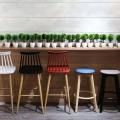 [Choyu Barchair, Obie Barstool & Plant – Pine Tree]
